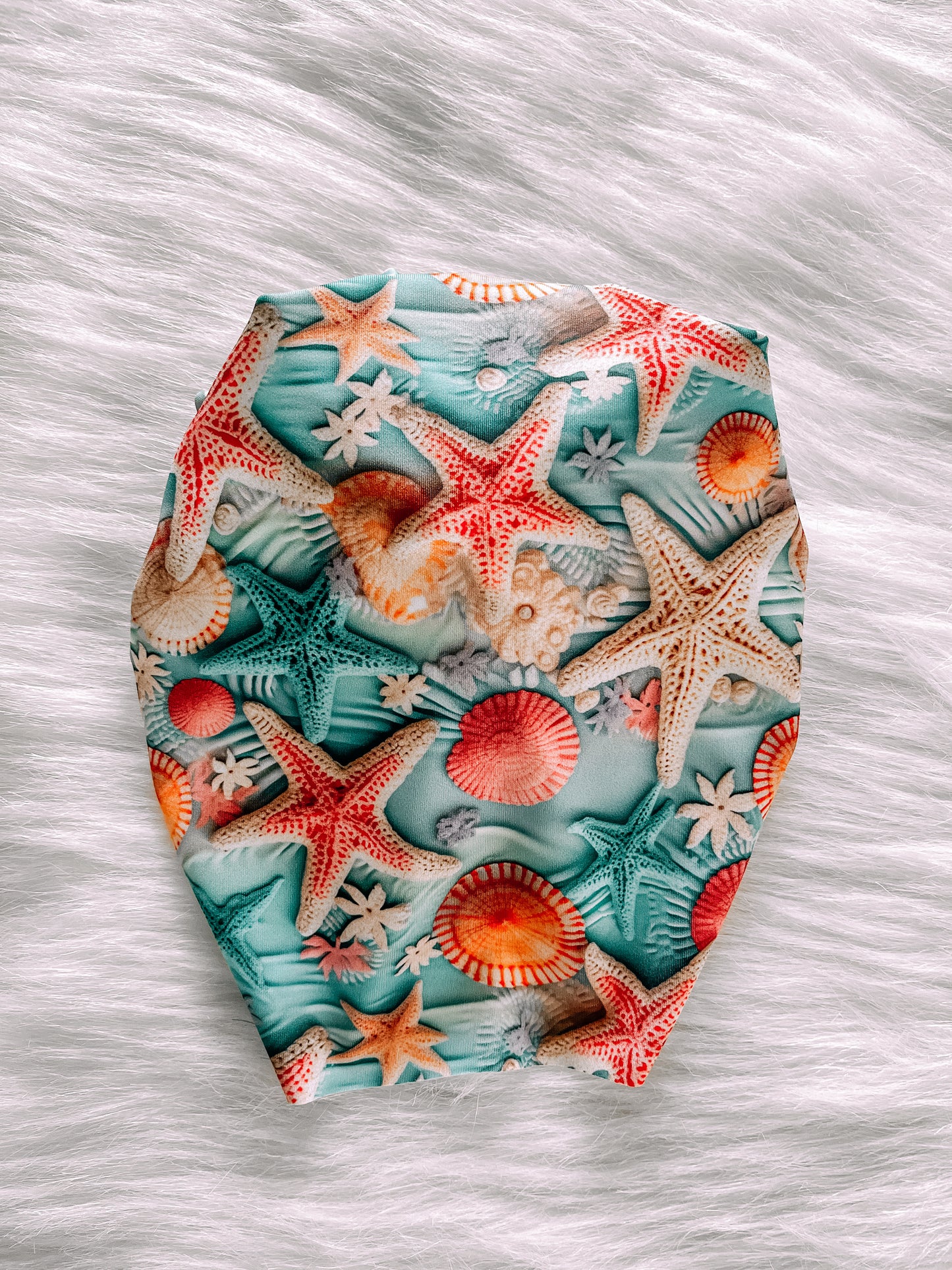 Swim star fish shells